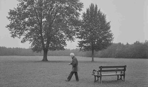 "챗GPT 믿다 뇌 굳는다"… 생성형 AI, 학습 능력 저하 경고